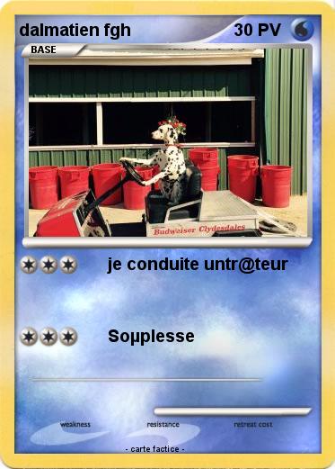 Pokemon dalmatien fgh