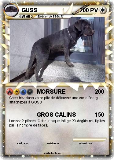 Pokemon GUSS