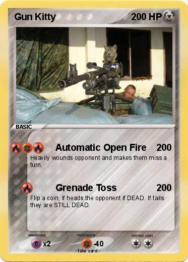 Pokemon Gun Kitty