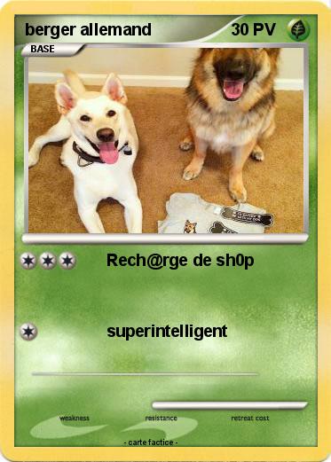 Pokemon berger allemand