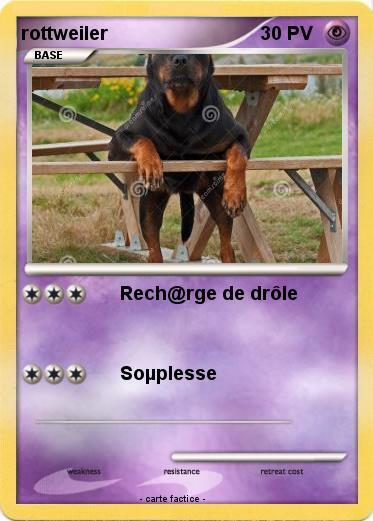 Pokemon rottweiler