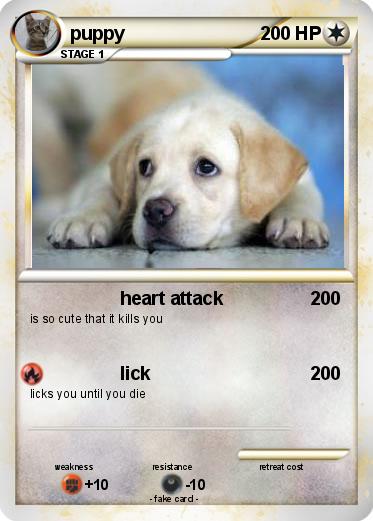Pokemon puppy