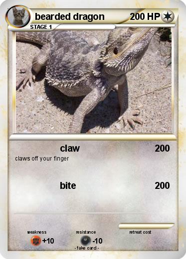 Pokemon bearded dragon