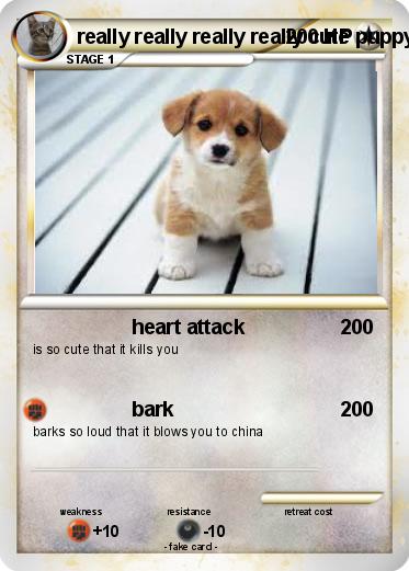 Pokemon really really really really cute puppy