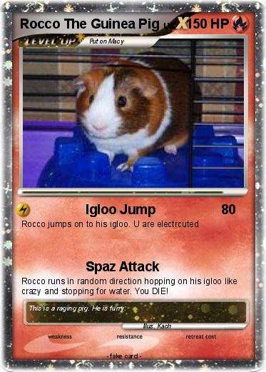 Pokemon Rocco The Guinea Pig