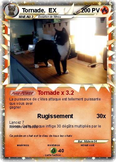Pokemon Tornade.  EX