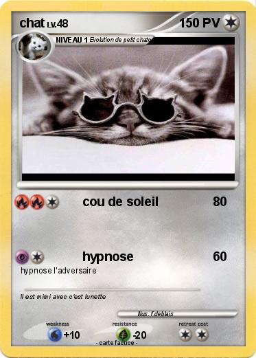Pokemon chat