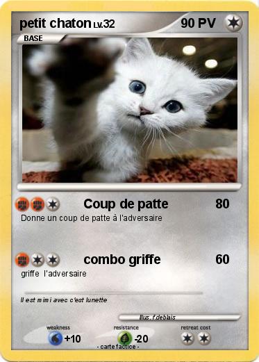 Pokemon petit chaton