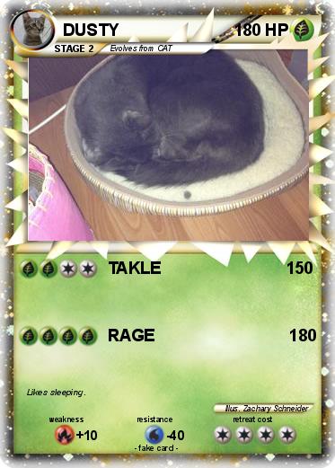 Pokemon DUSTY