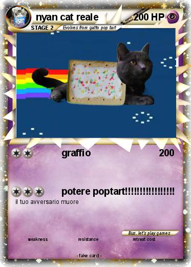 Pokemon nyan cat reale