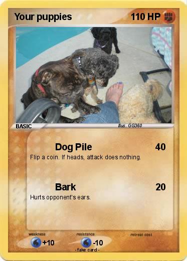 Pokemon Your puppies