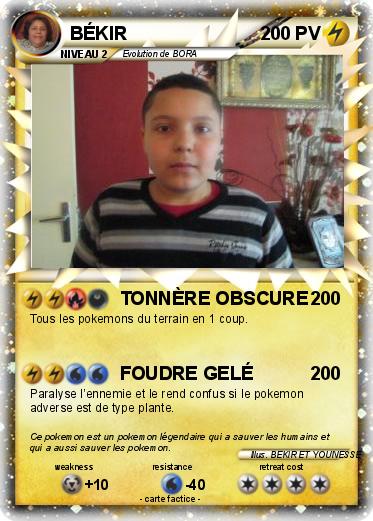 Pokemon BÉKIR