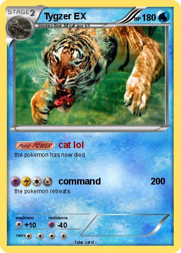 Pokemon Tygzer EX