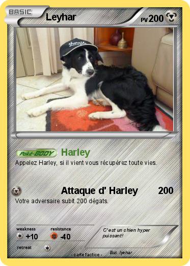Pokemon Leyhar
