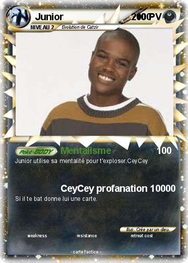 Pokemon Junior                            100