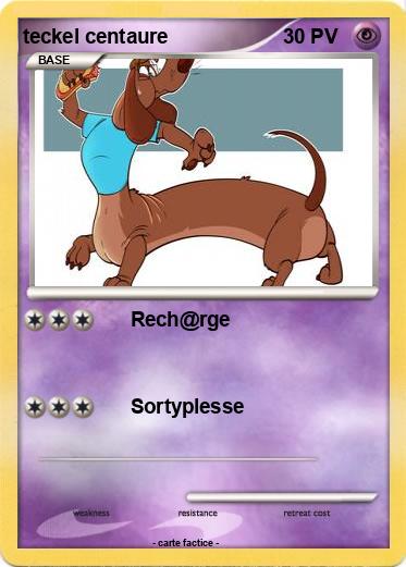 Pokemon teckel centaure