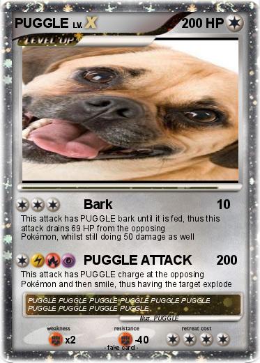 Pokemon PUGGLE