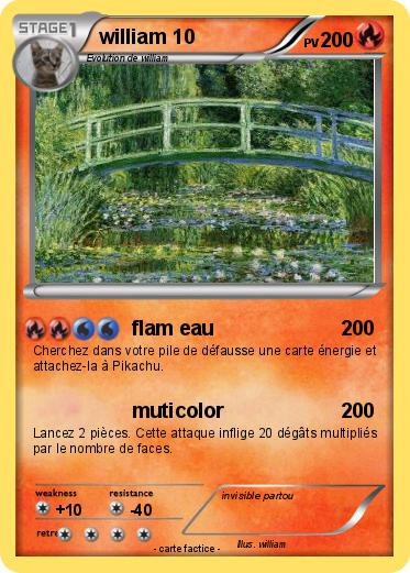 Pokemon william 10