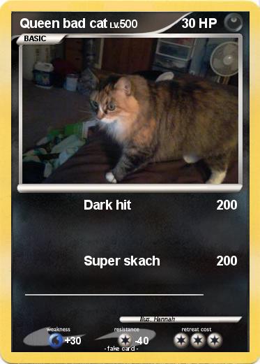 Pokemon Queen bad cat