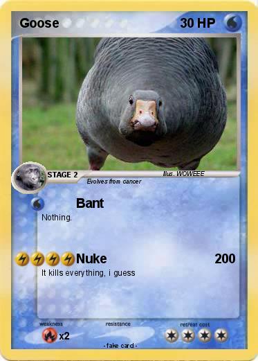 Pokemon Goose
