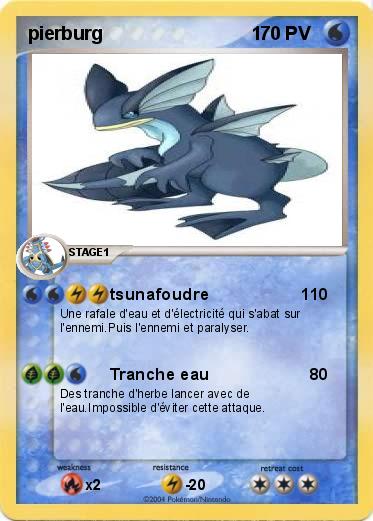 Pokemon pierburg                             1