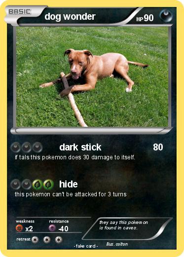 Pokemon dog wonder