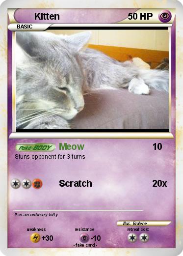 Pokemon Kitten