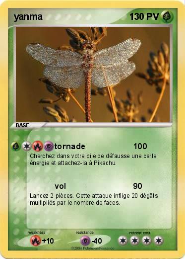 Pokemon yanma          