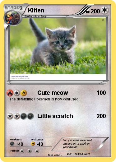 Pokemon Kitten
