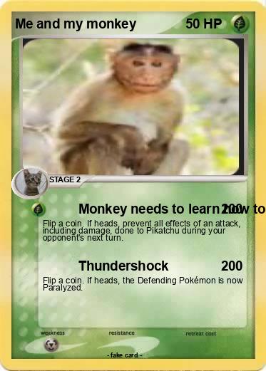 Pokemon Me and my monkey