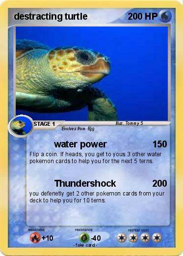 Pokemon destracting turtle