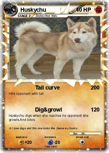 Pokemon Huskychu