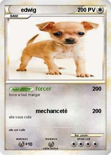 Pokemon edwig