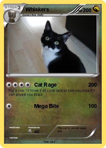 Pokemon Whiskers
