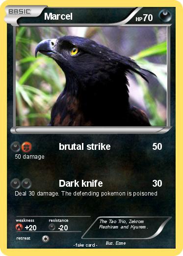 Pokemon Marcel