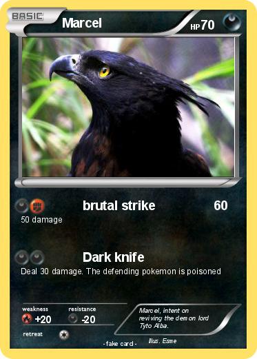 Pokemon Marcel