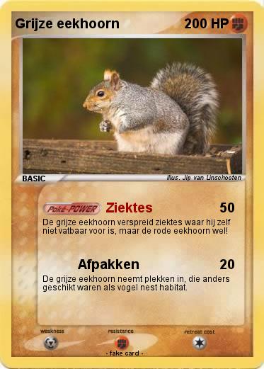 Pokemon Grijze eekhoorn