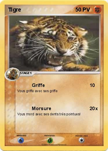 Pokemon Tigre