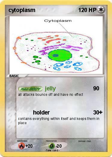 Pokemon cytoplasm