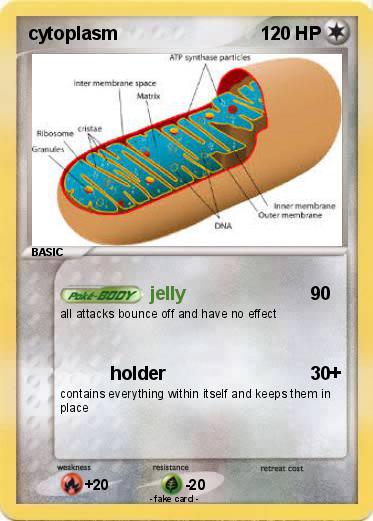 Pokemon cytoplasm