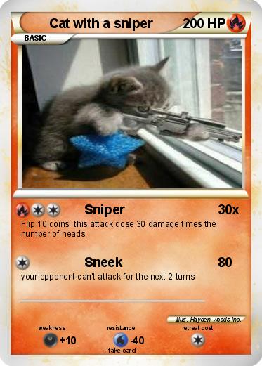 Pokemon Cat with a sniper