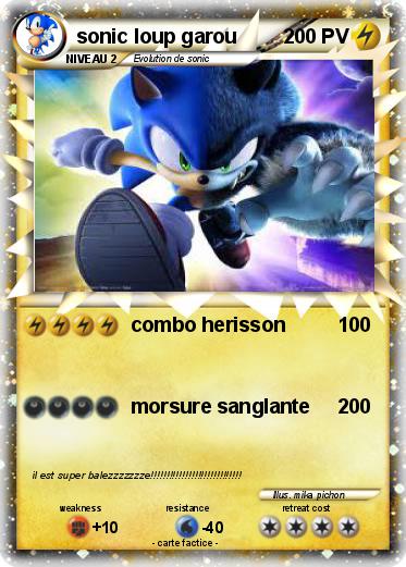 Pokemon sonic loup garou