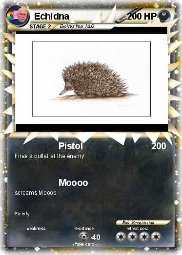 Pokemon Echidna
