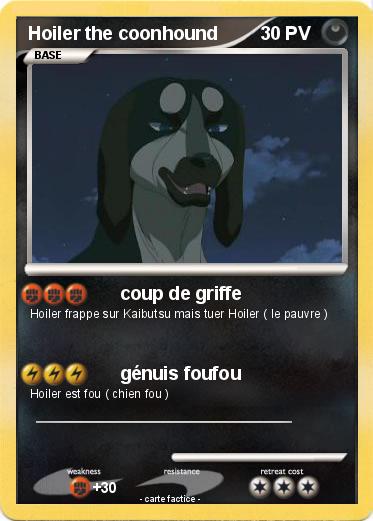 Pokemon Hoiler the coonhound