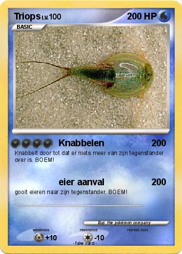 Pokemon Triops