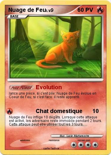 Pokemon Nuage de Feu