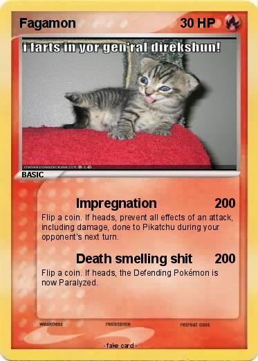 Pokemon Fagamon