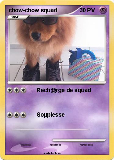 Pokemon chow-chow squad