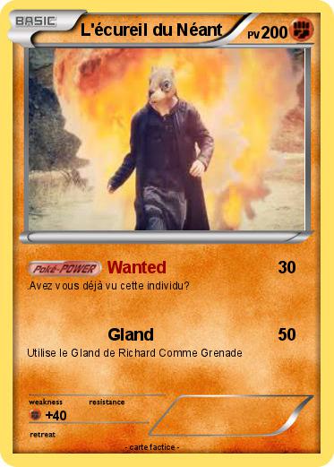 Pokemon L'écureil du Néant