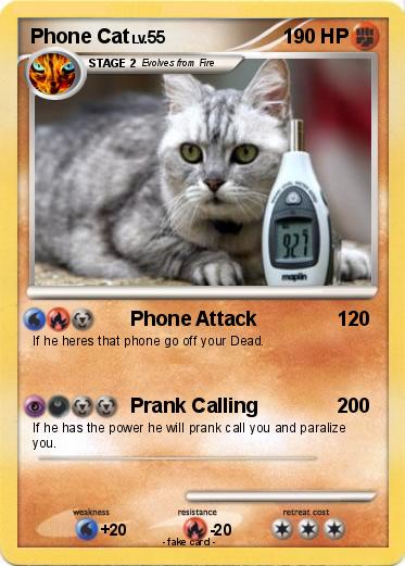 Pokemon Phone Cat